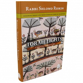 Torah Lights: A Biblical Commentary - Bamidbar