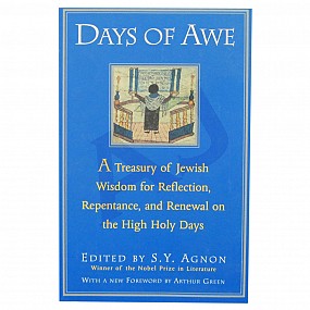 Days of Awe - Paperback