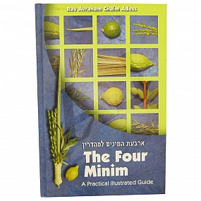 The Four Minim: A Practical Illustrated Guide