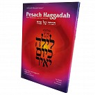 Lighting Up The Night - Pesach Haggadah