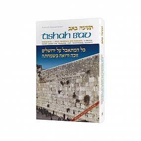 Tishah B'av: Texts, Readings, And Insights Standard Size