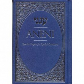 Aneni - Blue Hardcover