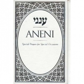 Aneni - White Hardcover