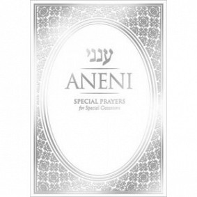 Aneni: English Pocket - White (Softcover)