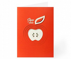Happy New Year Pack of 5 Cards (red apple)