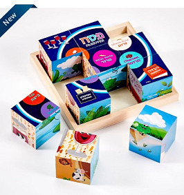 Passover  '6 in 1' blok puzzle
