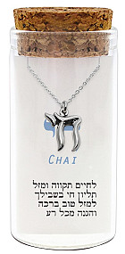 Sterling Silver Chai Necklace