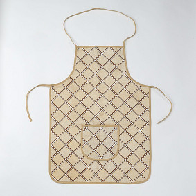 Passover kids apron