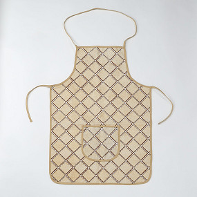Passover kids apron