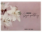 With Deepest Sympathy - 2d lily