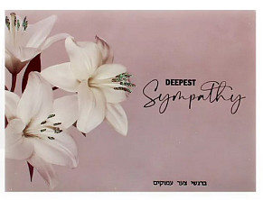 With Deepest Sympathy - 2d lily