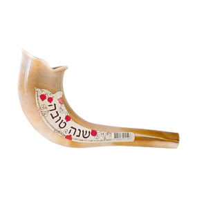 Children's Shofar natural