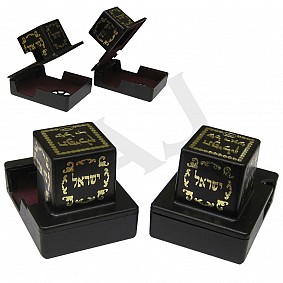 Black Tefilin Case with Gold Lettering